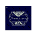 2025 Panini National Treasures Football trading card box for collectors.